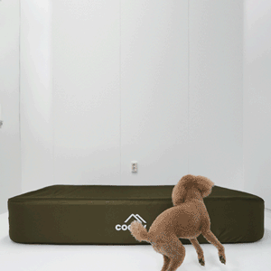 Coody Air Mattress