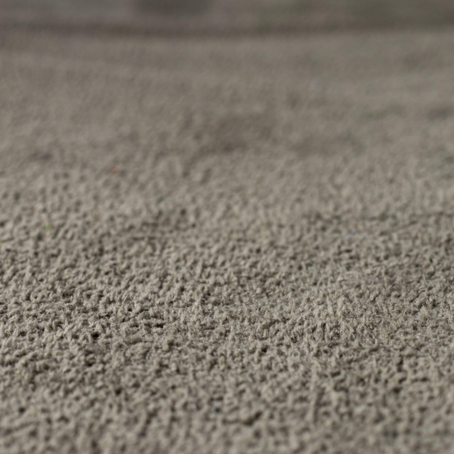 Alfombra Coody: diseñada para la tienda Coody 8.0 (verde bosque)